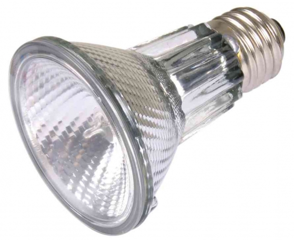 HeatSpot Pro, Halogen Wärme-Spotlampe 50W (Trixie)