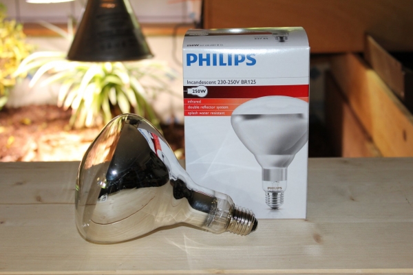 Weißlicht Infrarot-Wärmestrahler 250W (Philips)