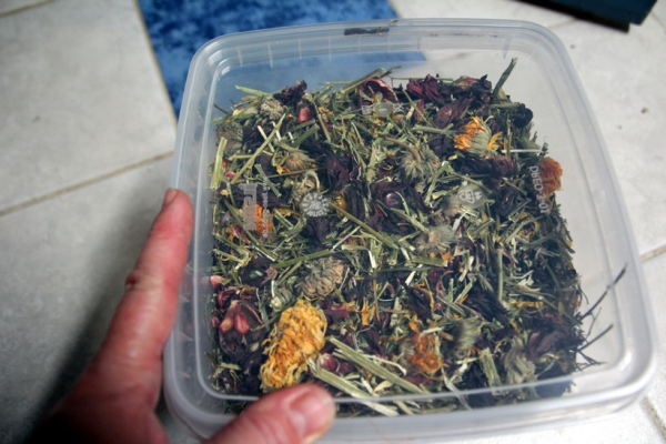 Herbst- Zauber 650g Eimer (JR FARM)