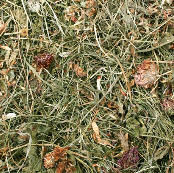 Kleewiese 500g (JR FARM)