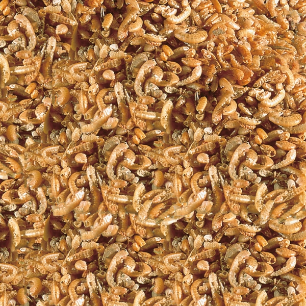 sera Raffy I  Nature 1000ml - 145g