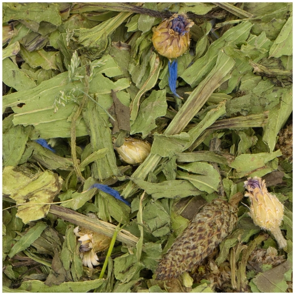 Spitzwegerich 100g (JR FARM)