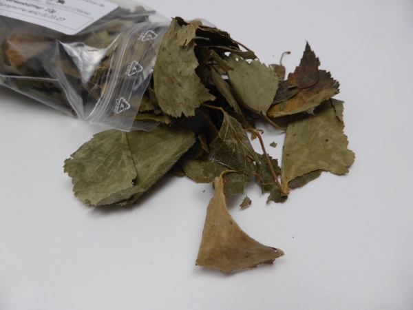 Birkenblätter ganz 10g