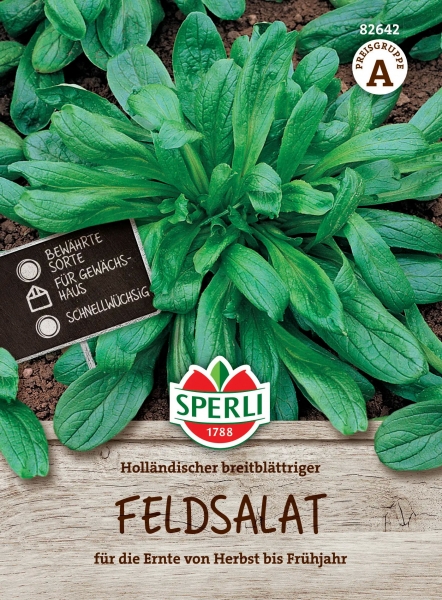 Feldsalat Holländischer breitblättriger - Valerianella locusta
