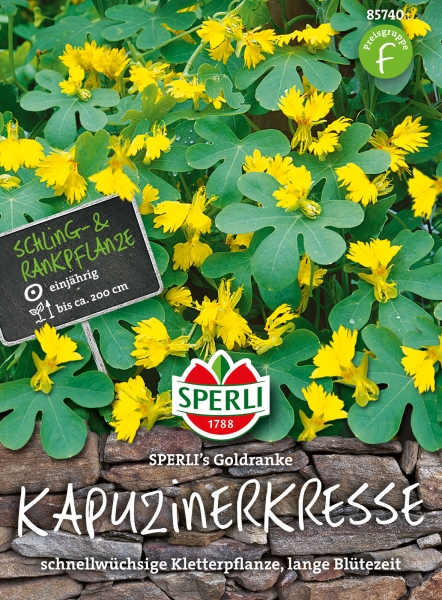 Kapuzinerkresse SPERLI's Goldranke - Tropaeolum majus L.