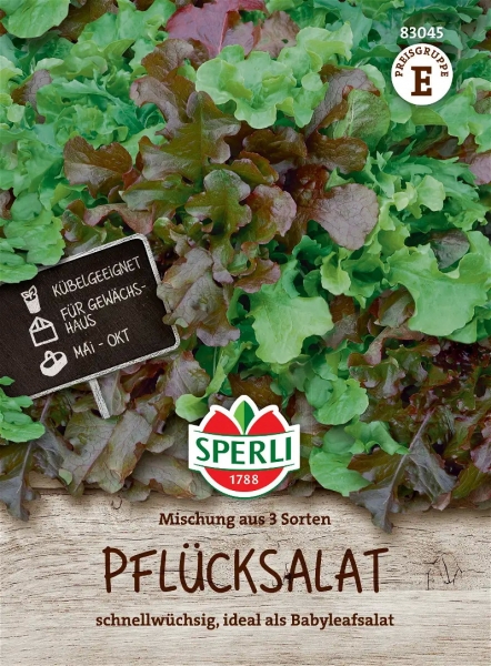 Salatsamen Mischung aus 3 Sorten
