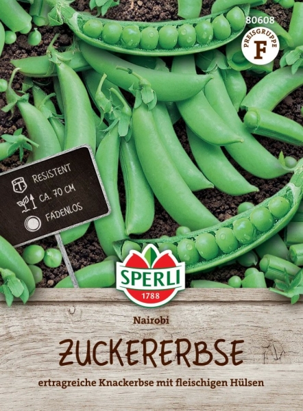 Zuckererbsen Nairobi - Pisum sativum