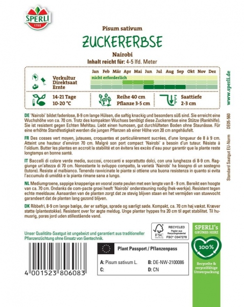 Zuckererbsen Nairobi - Pisum sativum