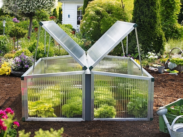 Frühbeet Typ Allgäu Modell 4 Größe 2 123 x 136 cm Polycarbonat