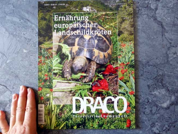 Draco 54 - Ernährung europäischer Landschildkröten