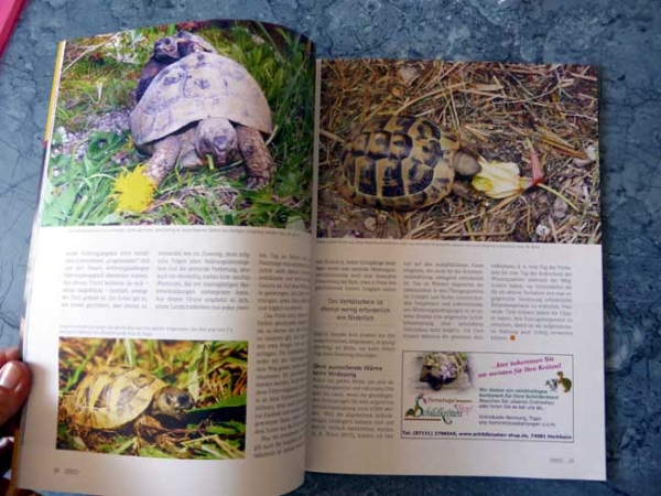 Draco 54 - Ernährung europäischer Landschildkröten