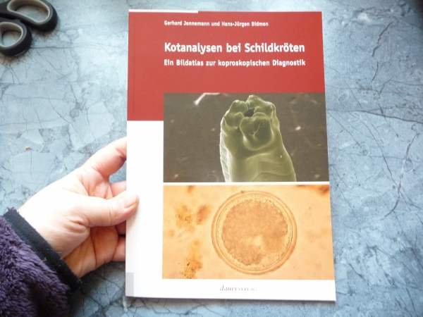 Kotanalysen bei Schildkröten