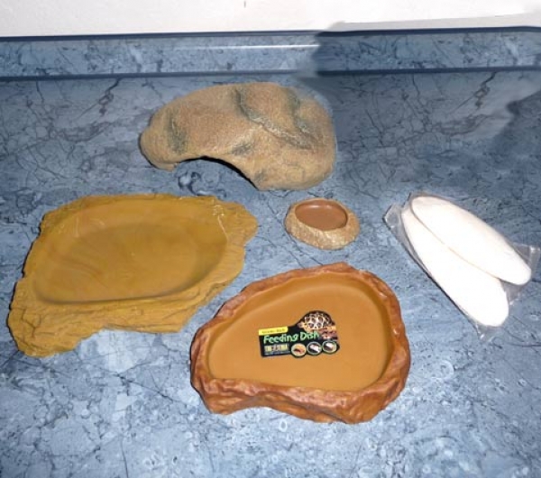 Einrichtungsset für Junge Landschildkröten