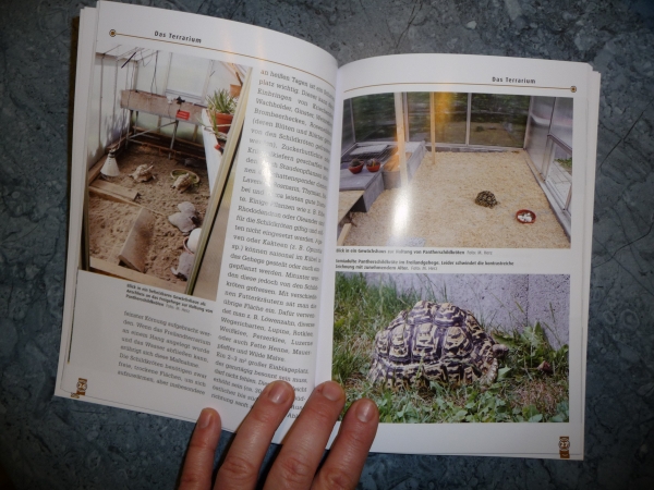 Terratuga Schildkrotenshop Die Pantherschildkrote Stigmochelys Pardalis Ntv Verlag