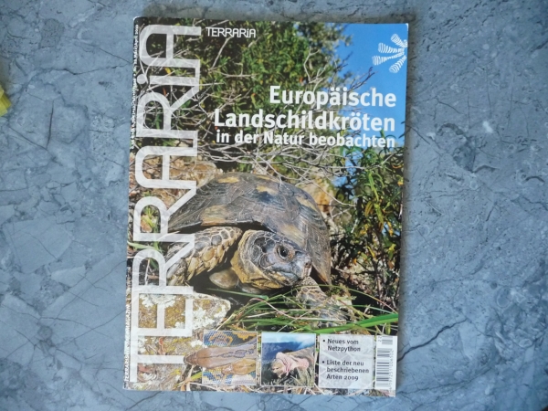 Terraria 22 - Europ. Landschildkröten in der Natur beobachten