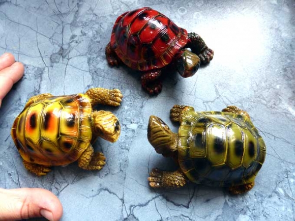 Indra Colour Tortoise Deko Landschildkröte