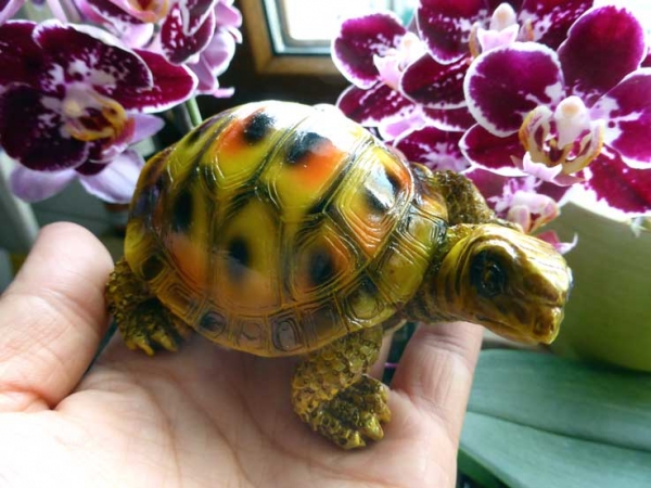 Indra Colour Tortoise Deko Landschildkröte