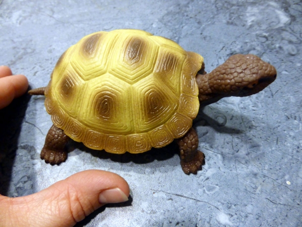 Tortoise Collection Stretch - Farbe braun/gelb Spielzeug