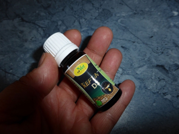 cdVet REPTIN -D3- 20ml optimal für Tiere mit Kalziummangel