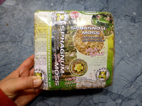 Dragon Sphagnum-Moos Mini-Bale ca. 1,5L, 150g Moos neutral