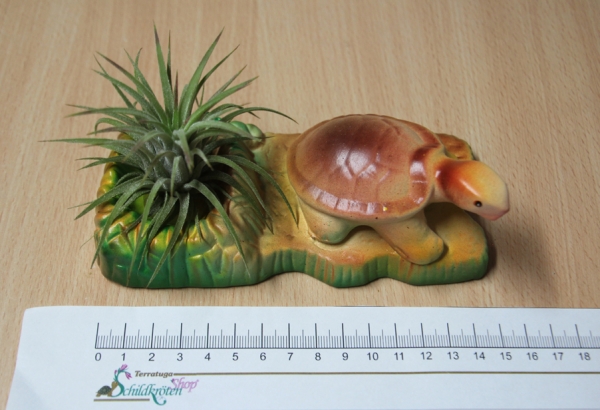 Keramik 15x7cm Schildkröte mit Pflanze Landschaft mit Tillansie