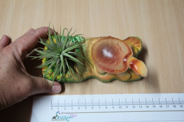 Keramik 15x7cm Schildkröte mit Pflanze Landschaft mit Tillansie