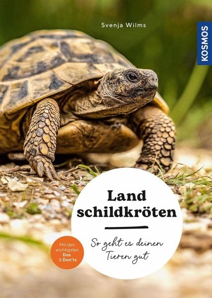 Landschildkröten, so geht es deinen Tieren gut, mit den wichtigsten Dos & Don'ts