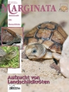Marginata 72 - Aufzucht von Landschildkröten