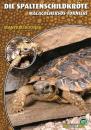 Die Spaltenschildkröte Malacocherus Tornieri, Art für Art,  NTV