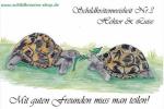 Sammelpostkarte Schildkrötenweisheit Nr. 3