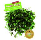 Flumi®-Ampel Zebrina Futterpflanze weis 14cm von Golli-Thek®