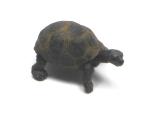 Riesenschildkrötenjungtier (Schleich)