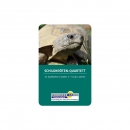 Schildkröten Quartett 32 Karten