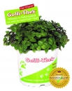 Golliwoog® - Callisia repens - Futterpflanze