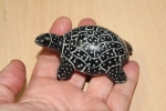 Krafttier "Schildkröte" Indianische Kultur Speckstein NEU