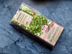 Sprossen-Anzuchtset - Einfache Kultur frischer Ruca-Salatrauke Inkl. 2 Portionen Bio-Samen