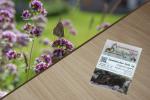 Gewöhnlicher Dost  1g  (Origanum vulgare)
