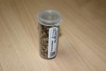 Kräuterdose 25g - Saatgutmischung
