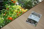 Kapuzinerkresse 5g  (Tropaeolum majus)