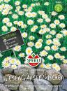 Wiesengänseblümchen - SPERLI's Tausendschön - Bellis perennis