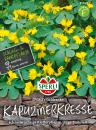 Kapuzinerkresse SPERLI's Goldranke - Tropaeolum majus L.
