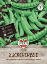 Zuckererbsen Nairobi - Pisum sativum
