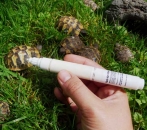 Markierstift für Jungtiere - Markierungsstift Lackstift 10ml für Nachzuchten