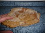 Dragon Felsschale flach 100ml Sand Stone19x16x2cm