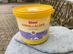 KORALLENALGEN Klaus 5kg feine Korallen Muschel Stücke